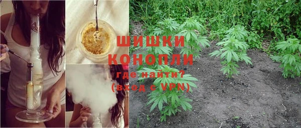 спайс Гвардейск