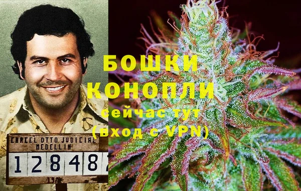 каннабис Баксан