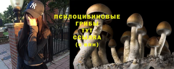 каннабис Баксан
